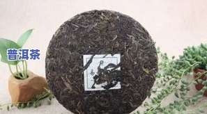 易武千年古树茶400克，探寻古老韵味：易武千年古树茶400克，品味历史沉淀的独特魅力！