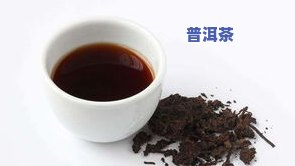 普洱茶忙肺茶简介：口感特点与古树茶价格解析