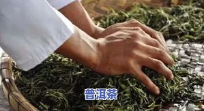 普洱茶五大假象分别是哪些-普洱茶五大假象分别是哪些呢