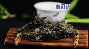 优质茶叶品质的特征-优质茶叶品质的特征是什么