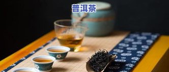 普洱茶泡茶神器整套使用教程：详细步骤与视频展示