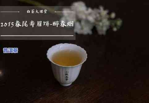 普洱茶罐子能装什么茶好喝点？探讨适合普洱茶罐的茶叶品种