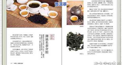 茶文化知识-茶文化知识有哪些