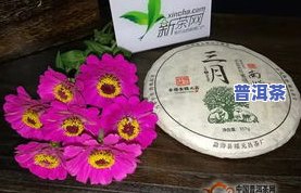 南糯普洱茶价格-南糯普洱茶价格及图片