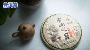 神益普洱茶砖：品质、价格全解析