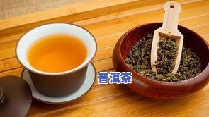 人参和普洱茶能一起喝吗？女性适用吗？