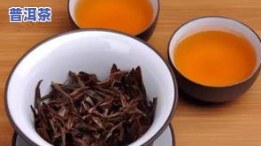 普洱茶工艺茶品-普洱茶工艺茶品种有哪些