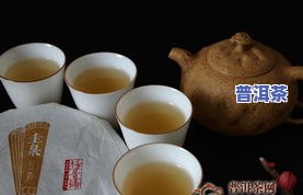 墨然普洱茶-墨羽普洱茶