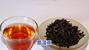 哪种菊花搭配普洱茶好喝呢-哪种菊花搭配普洱茶好喝呢女生