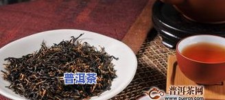 普洱茶种植教学视频，全面学习普洱茶种植技术：观看『普洱茶种植教学视频』！