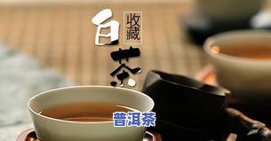 高端普洱茶膏排名，揭秘高端普洱茶膏排名：品质与价格的完美平衡