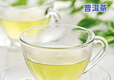 冰岛古树茶2019价格行情全解析：最新走势与详细表格