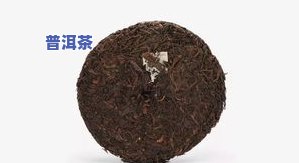 茶叶售卖网站大全：查看热门茶叶品种及价格信息