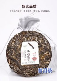 普洱7562怎么泡-普洱茶7562