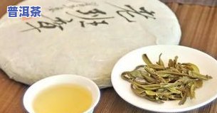 老班章品种有哪些，探究老班章品种：从普洱茶到生茶的全解析