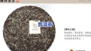 老班章哪家正宗，寻找最正宗的老班章，哪家茶庄是你的不二之选？