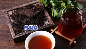 普洱茶醉春秋多少钱一斤，探秘普洱茶醉春秋：市场价格分析，一斤要多少钱？