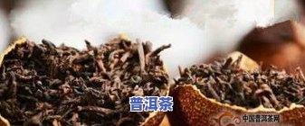 普洱茶饼喝法视频大全，全面解析：普洱茶饼的正确喝法视频教程