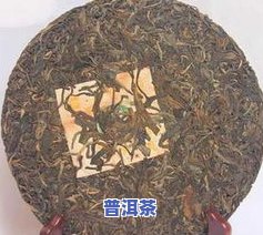 普洱茶叶中带有茶果吗图片-普洱茶叶中带有茶果吗图片大全