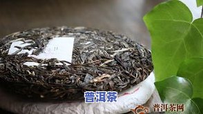 典藏普洱茶-典藏普洱茶的价格表