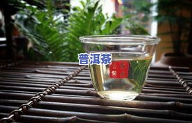 回甘好的普洱茶茶叶有哪些，「普洱茶」回甘好，这些茶叶值得一试！