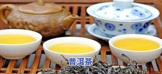 老班章味道，探寻老班章的味道：一次深入普洱茶世界的旅程