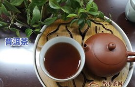 按产地普洱茶分类为哪些茶，探究普洱茶的产地分类：你所不知道的普洱茶种类