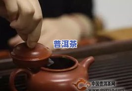 勐海天弘茶业：公司介绍、招聘信息一网打尽