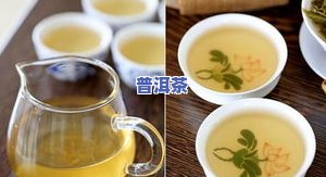 普洱茶的新茶怎么储存好-普洱茶的新茶怎么储存好呢