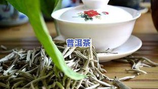 普洱茶与土茯苓能否混饮？女性需要留意什么？