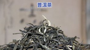 普洱茶生茶什么意思，解读普洱茶生茶：含义与特点