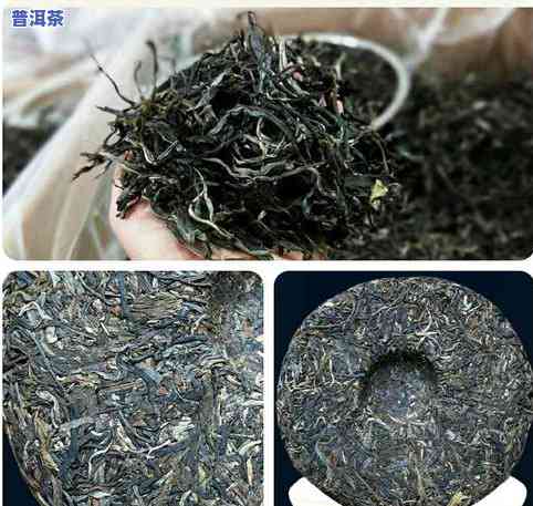 古树普洱茶十大名牌茶厂：探寻高品质茶叶源头