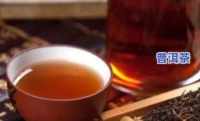 老班章七子茶饼价格：2006年与现代的区别