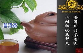 普洱茶饼用锅蒸还是蒸-普洱茶饼用锅蒸还是蒸好