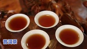 广西老树普洱茶介绍视频，深度解析：广西老树普洱茶的魅力与故事