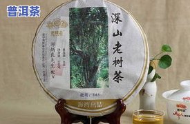 深入探究：老同志普洱茶深山老树熟茶的品质与口感