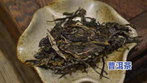 冰岛普洱茶：种类、生熟辨析全解