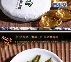 云南冰岛七子饼茶价格是多少？全网更低价大揭秘！