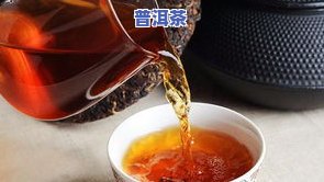 藏普洱茶的理由，揭秘藏普洱茶的五大理由，为何它备受推崇？