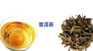 小柑橘普洱茶冲泡方法视频讲解下载