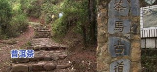 普洱茶马古道图片，穿越时空的味觉之旅：探寻普洱茶马古道的历史与文化