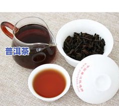 普洱茶黄饼-普洱茶黄饼是什么