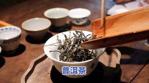 布朗公主普洱茶价格，探究布朗公主普洱茶的价格：一杯的独特价值