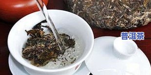 普洱茶和六堡茶焖泡哪个好-普洱茶和六堡茶焖泡哪个好喝