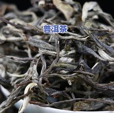 老班章金芽普洱价格表：老班章金芽熟茶介绍与老班章古树金芽老茶头升级组对比