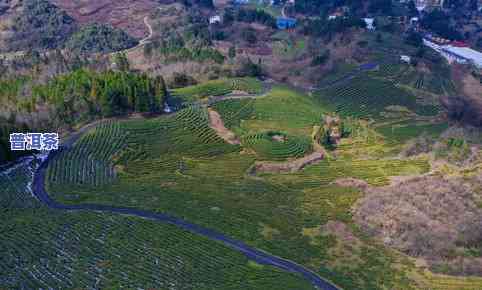 勐库冰岛茶场地址，寻找好茶？来勐库冰岛茶场！