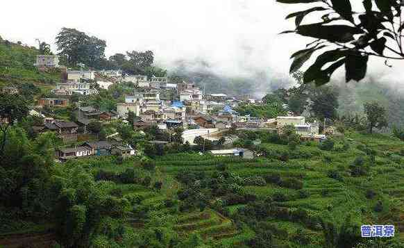 勐库冰岛茶场-勐库冰岛茶场地址