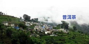 勐库冰岛茶场-勐库冰岛茶场地址