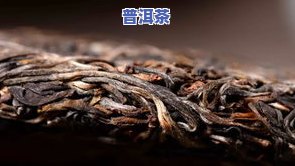 普洱茶长斑是什么原因造成的，「普洱茶长斑的原因解析」