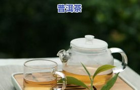 我要普洱茶，享受口感与健康双重益处，选择我们的普洱茶！